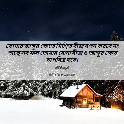 Picture 06 - দ্বিতীয় বিৱৰণ 22:9 BENIRV - তোমার আঙ্গুর - Bible Verse Picture