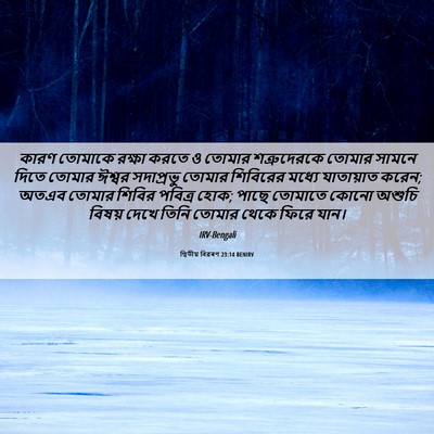 Picture 06 - দ্বিতীয় বিৱৰণ 23:14 BENIRV - কারণ তোমাকে রক্ষা - Bible Verse Picture