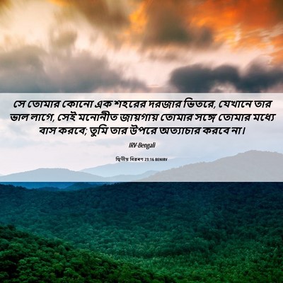 Picture 06 - দ্বিতীয় বিৱৰণ 23:16 BENIRV - সে তোমার কোনো এক - Bible Verse Picture