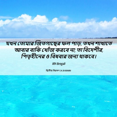 Picture 06 - দ্বিতীয় বিৱৰণ 24:20 BENIRV - যখন তোমার - Bible Verse Picture