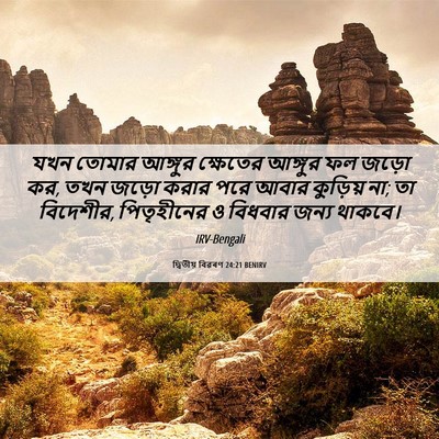 Picture 06 - দ্বিতীয় বিৱৰণ 24:21 BENIRV - যখন তোমার আঙ্গুর - Bible Verse Picture