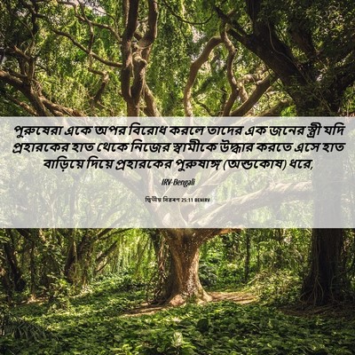 Picture 06 - দ্বিতীয় বিৱৰণ 25:11 BENIRV - পুরুষেরা একে অপর - Bible Verse Picture