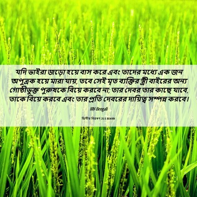 Picture 06 - দ্বিতীয় বিৱৰণ 25:5 BENIRV - যদি ভাইরা জড়ো - Bible Verse Picture