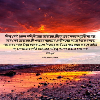 Picture 06 - দ্বিতীয় বিৱৰণ 25:7 BENIRV - কিন্তু সেই পুরুষ - Bible Verse Picture