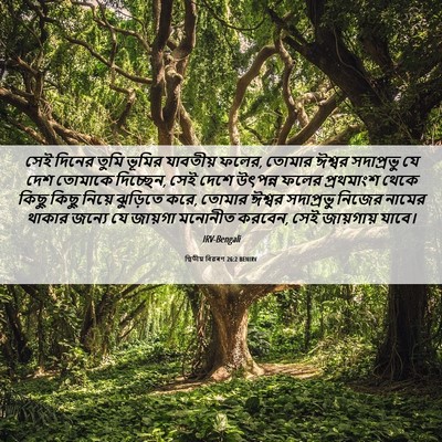 Picture 06 - দ্বিতীয় বিৱৰণ 26:2 BENIRV - সেই দিনের তুমি - Bible Verse Picture