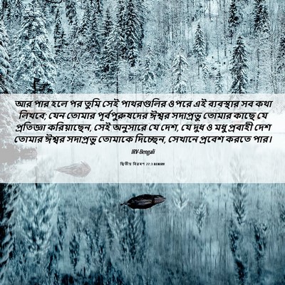 Picture 06 - দ্বিতীয় বিৱৰণ 27:3 BENIRV - আর পার হলে পর তুমি - Bible Verse Picture