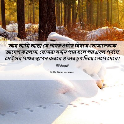 Picture 06 - দ্বিতীয় বিৱৰণ 27:4 BENIRV - আর আমি আজ যে - Bible Verse Picture