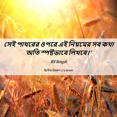 Picture 06 - দ্বিতীয় বিৱৰণ 27:8 BENIRV - সেই পাথরের ওপরে এই - Bible Verse Picture