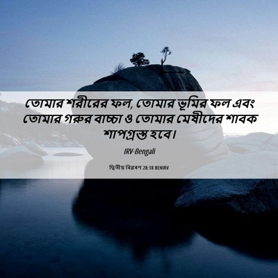 Picture 06 - দ্বিতীয় বিৱৰণ 28:18 BENIRV - তোমার শরীরের ফল, - Bible Verse Picture