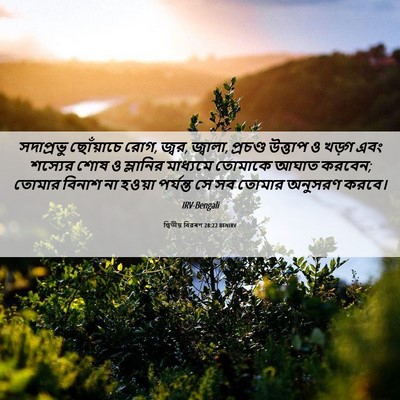 Picture 06 - দ্বিতীয় বিৱৰণ 28:22 BENIRV - সদাপ্রভু ছোঁয়াচে - Bible Verse Picture