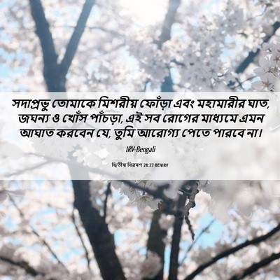 Picture 06 - দ্বিতীয় বিৱৰণ 28:27 BENIRV - সদাপ্রভু তোমাকে - Bible Verse Picture