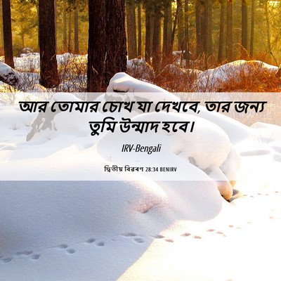 Picture 06 - দ্বিতীয় বিৱৰণ 28:34 BENIRV - আর তোমার চোখ যা - Bible Verse Picture