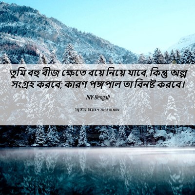 Picture 06 - দ্বিতীয় বিৱৰণ 28:38 BENIRV - তুমি বহু বীজ - Bible Verse Picture
