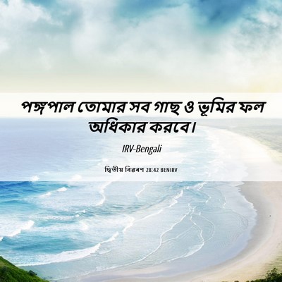 Picture 06 - দ্বিতীয় বিৱৰণ 28:42 BENIRV - পঙ্গপাল তোমার সব - Bible Verse Picture