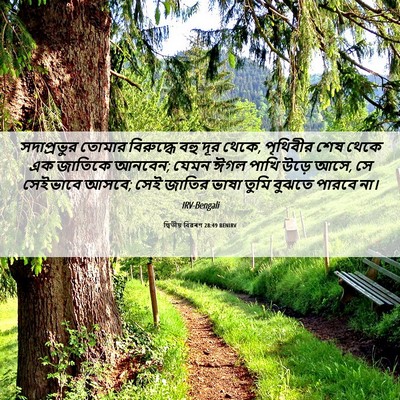 Picture 06 - দ্বিতীয় বিৱৰণ 28:49 BENIRV - সদাপ্রভুর তোমার - Bible Verse Picture