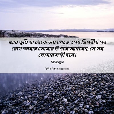 Picture 06 - দ্বিতীয় বিৱৰণ 28:60 BENIRV - আর তুমি যা থেকে ভয় - Bible Verse Picture