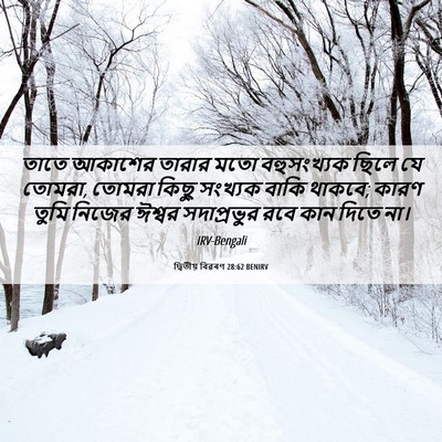 Picture 06 - দ্বিতীয় বিৱৰণ 28:62 BENIRV - তাতে আকাশের তারার - Bible Verse Picture
