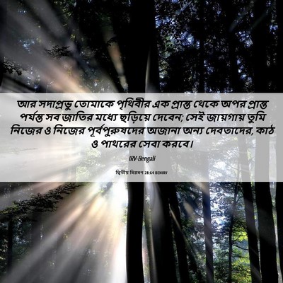 Picture 06 - দ্বিতীয় বিৱৰণ 28:64 BENIRV - আর সদাপ্রভু - Bible Verse Picture