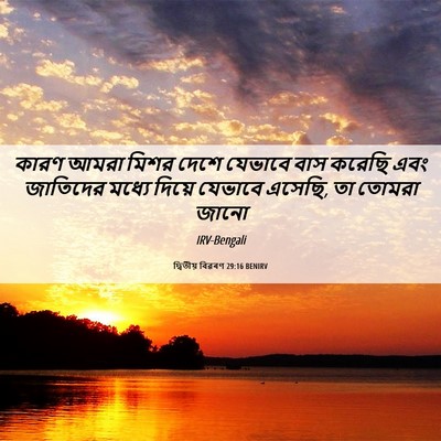 Picture 06 - দ্বিতীয় বিৱৰণ 29:16 BENIRV - কারণ আমরা মিশর - Bible Verse Picture