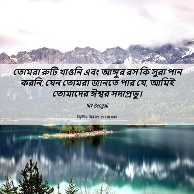 Picture 06 - দ্বিতীয় বিৱৰণ 29:6 BENIRV - তোমরা রুটি খাওনি - Bible Verse Picture