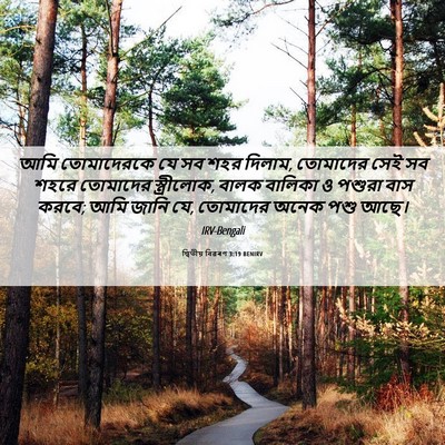 Picture 06 - দ্বিতীয় বিৱৰণ 3:19 BENIRV - আমি তোমাদেরকে যে - Bible Verse Picture