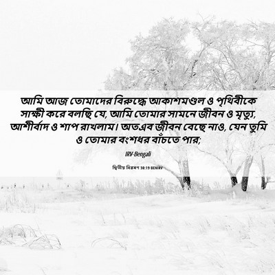 Picture 06 - দ্বিতীয় বিৱৰণ 30:19 BENIRV - আমি আজ তোমাদের - Bible Verse Picture