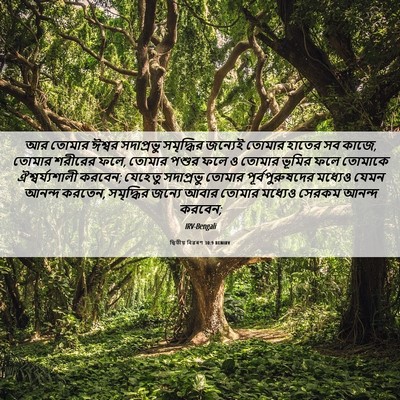 Picture 06 - দ্বিতীয় বিৱৰণ 30:9 BENIRV - আর তোমার ঈশ্বর - Bible Verse Picture