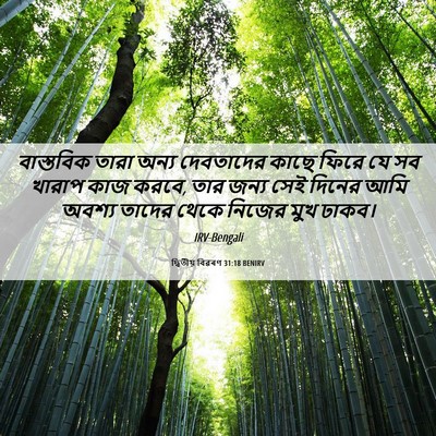 Picture 06 - দ্বিতীয় বিৱৰণ 31:18 BENIRV - বাস্তবিক তারা - Bible Verse Picture