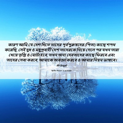 Picture 06 - দ্বিতীয় বিৱৰণ 31:20 BENIRV - কারণ আমি যে দেশ - Bible Verse Picture