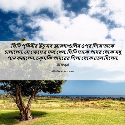 Picture 06 - দ্বিতীয় বিৱৰণ 32:13 BENIRV - তিনি পৃথিবীর উঁচু - Bible Verse Picture