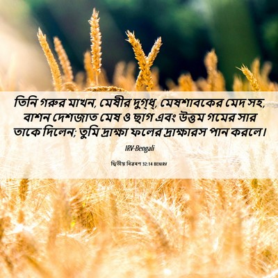 Picture 06 - দ্বিতীয় বিৱৰণ 32:14 BENIRV - তিনি গরুর মাখন, - Bible Verse Picture
