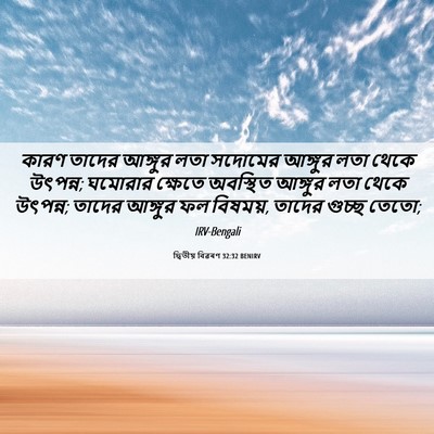 Picture 06 - দ্বিতীয় বিৱৰণ 32:32 BENIRV - কারণ তাদের আঙ্গুর - Bible Verse Picture