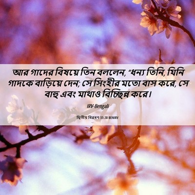 Picture 06 - দ্বিতীয় বিৱৰণ 33:20 BENIRV - আর গাদের বিষয়ে - Bible Verse Picture