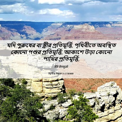 Picture 06 - দ্বিতীয় বিৱৰণ 4:17 BENIRV - যদি পুরুষের বা - Bible Verse Picture