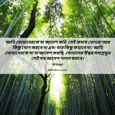 Picture 06 - দ্বিতীয় বিৱৰণ 4:2 BENIRV - আমি তোমাদেরকে যা - Bible Verse Picture