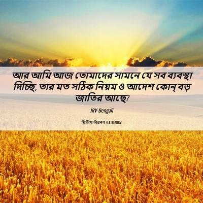 Picture 06 - দ্বিতীয় বিৱৰণ 4:8 BENIRV - আর আমি আজ তোমাদের - Bible Verse Picture