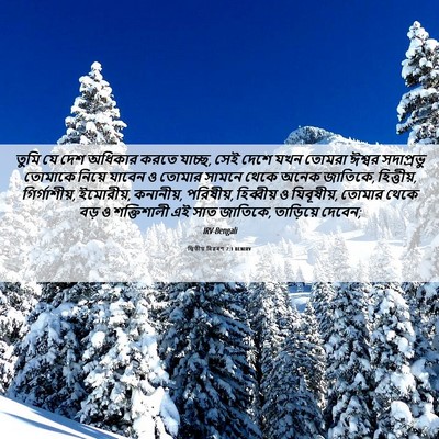 Picture 06 - দ্বিতীয় বিৱৰণ 7:1 BENIRV - তুমি যে দেশ অধিকার - Bible Verse Picture