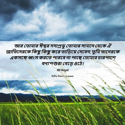 Picture 06 - দ্বিতীয় বিৱৰণ 7:22 BENIRV - আর তোমার ঈশ্বর - Bible Verse Picture