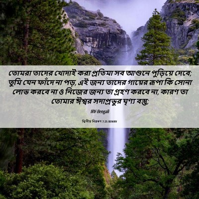 Picture 06 - দ্বিতীয় বিৱৰণ 7:25 BENIRV - তোমরা তাদের খোদাই - Bible Verse Picture
