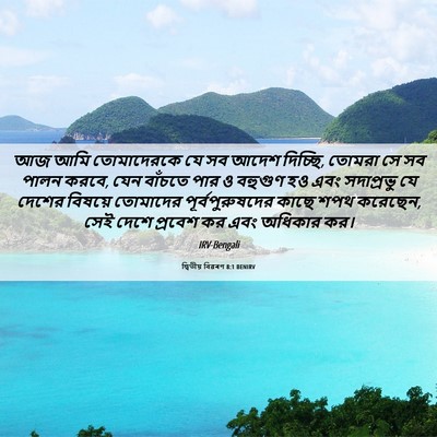 Picture 06 - দ্বিতীয় বিৱৰণ 8:1 BENIRV - আজ আমি তোমাদেরকে - Bible Verse Picture