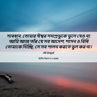 Picture 06 - দ্বিতীয় বিৱৰণ 8:11 BENIRV - সাবধান, তোমার - Bible Verse Picture