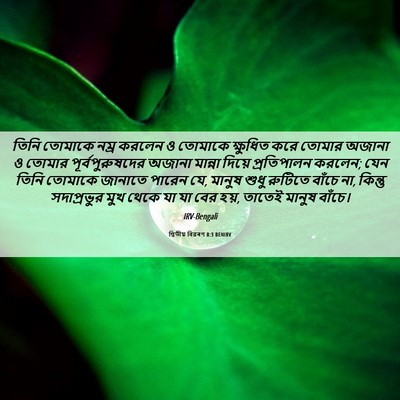 Picture 06 - দ্বিতীয় বিৱৰণ 8:3 BENIRV - তিনি তোমাকে নম্র - Bible Verse Picture