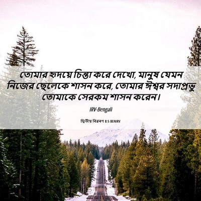 Picture 06 - দ্বিতীয় বিৱৰণ 8:5 BENIRV - তোমার হৃদয়ে - Bible Verse Picture