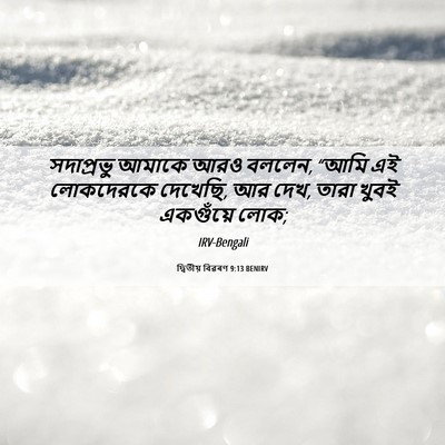 Picture 06 - দ্বিতীয় বিৱৰণ 9:13 BENIRV - সদাপ্রভু আমাকে - Bible Verse Picture