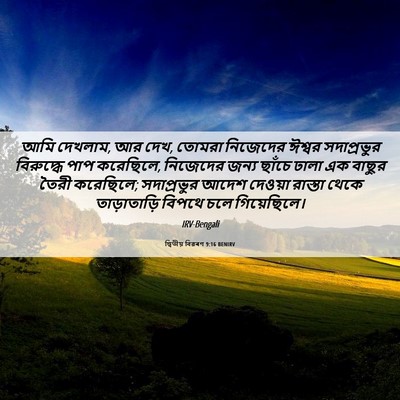 Picture 06 - দ্বিতীয় বিৱৰণ 9:16 BENIRV - আমি দেখলাম, আর দেখ, - Bible Verse Picture