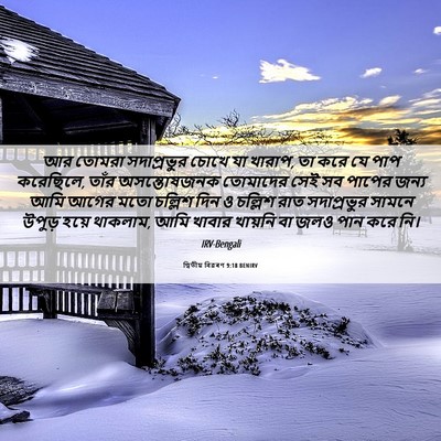 Picture 06 - দ্বিতীয় বিৱৰণ 9:18 BENIRV - আর তোমরা - Bible Verse Picture