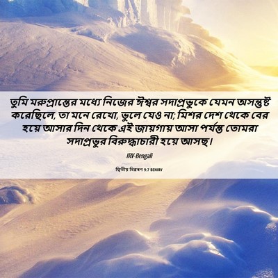 Picture 06 - দ্বিতীয় বিৱৰণ 9:7 BENIRV - তুমি মরুপ্রান্তের - Bible Verse Picture