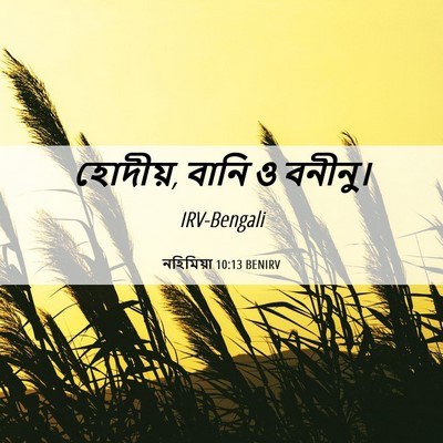 Picture 06 - নহিমিয়া 10:13 BENIRV - হোদীয়, বানি ও - Bible Verse Picture