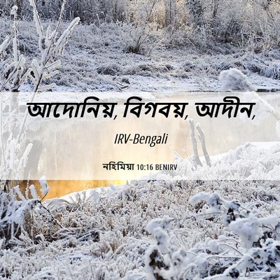 Picture 06 - নহিমিয়া 10:16 BENIRV - আদোনিয়, বিগবয়, - Bible Verse Picture