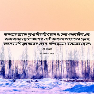 Picture 06 - নহিমিয়া 11:13 BENIRV - অদায়ার ভাইরা - Bible Verse Picture